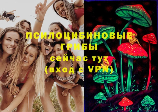 СК Новокубанск